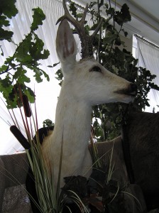 P8230014