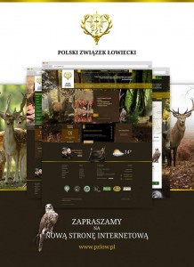pzlow.pl