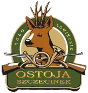 Logo 1 OSTOJA