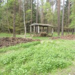 DSCN1853-001