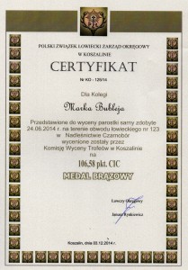 img175-001