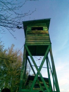 Zdjęcie070