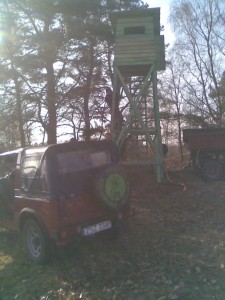 Zdjęcie081