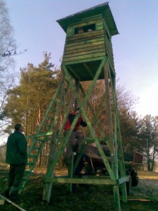 Zdjęcie082