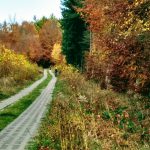 IMG_20181103_124214019_HDR