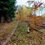 IMG_20181103_140916368_HDR