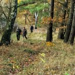 IMG_20181103_152420621