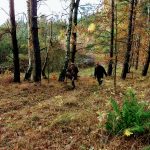 IMG_20181103_152519139