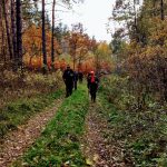 IMG_20181103_152747044_HDR