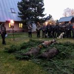 IMG_20181103_163346444